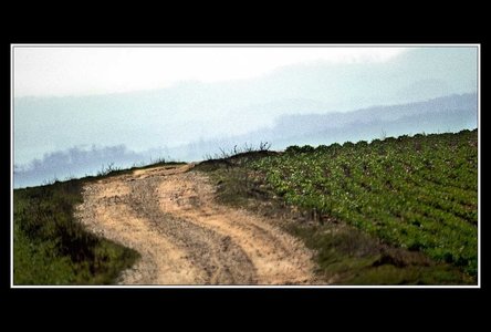 A la recherche d'un peu d'abstraxion (sic), Paysages 500mm 50