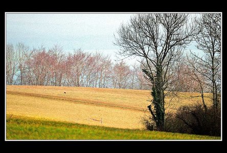 A la recherche d'un peu d'abstraxion (sic), Paysages 500mm 58