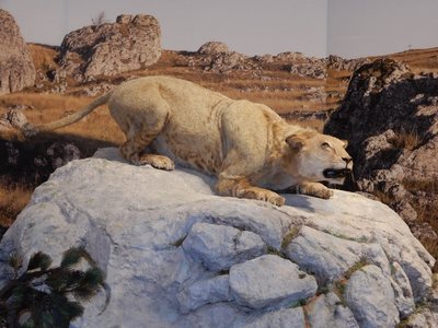 visite de la grotte Chauvet 06/04/2018, DSCN2939