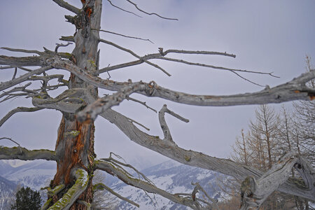 2018-03-25-29-ski-queyras, alpes-aventure-ski-queyras-maloqueste-2018-03-25-007