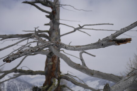 2018-03-25-29-ski-queyras, alpes-aventure-ski-queyras-maloqueste-2018-03-25-008