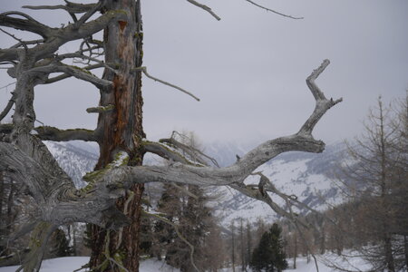 2018-03-25-29-ski-queyras, alpes-aventure-ski-queyras-maloqueste-2018-03-25-011
