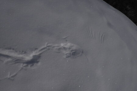2018-03-25-29-ski-queyras, alpes-aventure-ski-queyras-gardiole-roux-reychasse-2018-03-26-07