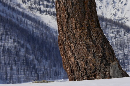 2018-03-25-29-ski-queyras, alpes-aventure-ski-tour-pelvas-2018-03-27-17