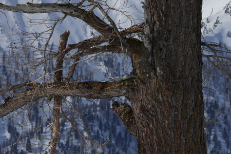 2018-03-25-29-ski-queyras, alpes-aventure-ski-tour-pelvas-2018-03-27-18
