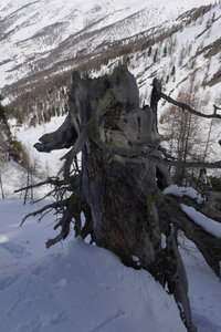 2018-03-25-29-ski-queyras, alpes-aventure-ski-queyras-col-nalbert-2018-03-28-40