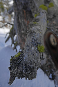 2018-03-25-29-ski-queyras, alpes-aventure-ski-queyras-col-nalbert-2018-03-28-44