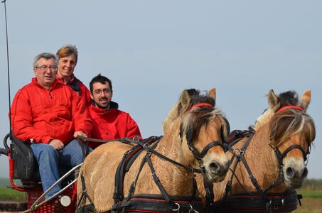 2018-04-08 Randonnée des Hautes Falaises, DSC_5784