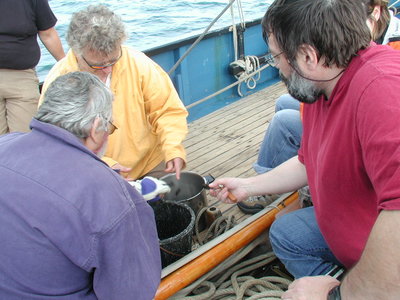 La cancalaise, PA081164