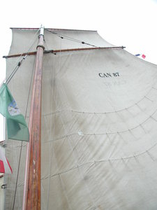 La cancalaise, PA091206