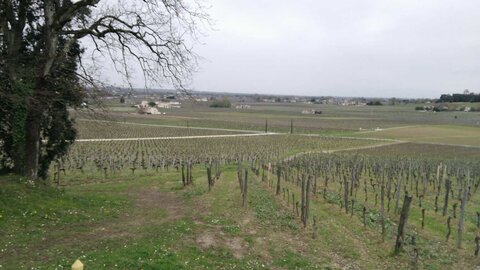 St Emilion 07/04/2018, P_20180407_1503101