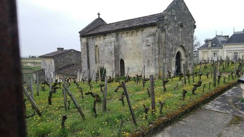 St Emilion 07/04/2018, P_20180407_1523421
