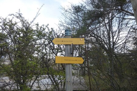 vendredi AM 16/04/2018, _copie-0_P1040146