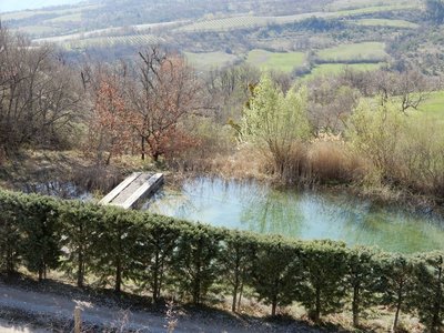 photos mercredi 18/04/2018, DSCN3097