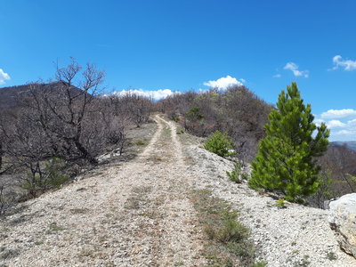 photos mercredi 18/04/2018, 20180418_1353421