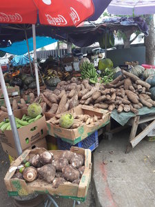 La Martinique avril 2018, 20180404_140133
