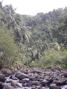 La Martinique avril 2018, 20180331_144937