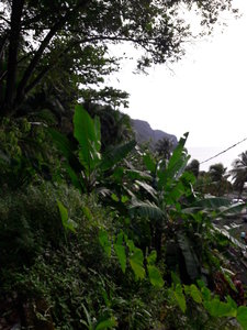 La Martinique avril 2018, 20180331_160944