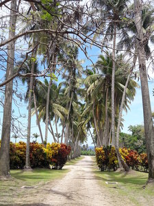La Martinique avril 2018, 20180331_122742