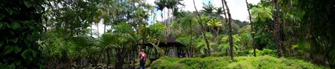 La Martinique avril 2018, 20180405_115545