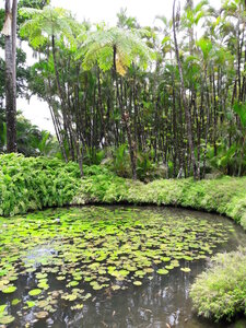 La Martinique avril 2018, 20180405_115840