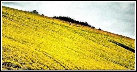 Tout près d'chez moué, Campagne 1