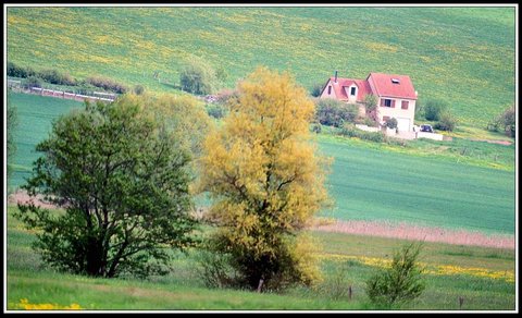 Tout près d'chez moué, Campagne 2
