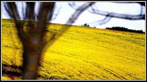Tout près d'chez moué, Campagne 3