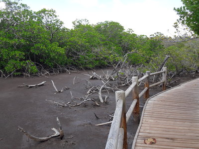 La Martinique avril 2018, 20180403_092856