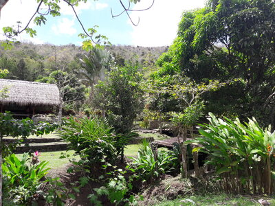 La Martinique avril 2018, La Savane des esclaves: pour connaître l’’histoire de l’’esclavage