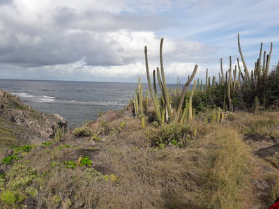 La Martinique avril 2018, 20180401_154439
