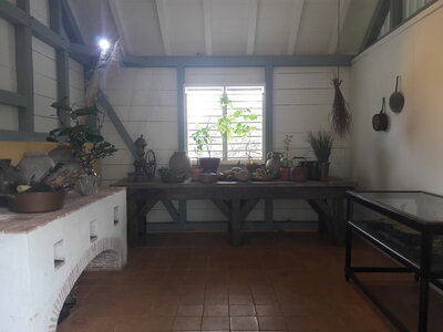 La Martinique avril 2018, 20180406_154606