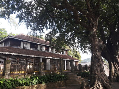 La Martinique avril 2018, 20180406_154425