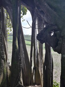 La Martinique avril 2018, 20180406_155158