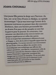 La Martinique avril 2018, Exposition Afriques