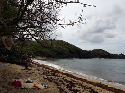 La Martinique avril 2018, 20180402_145028
