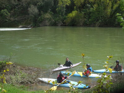 Kayak Promenade: Pont St Nicolas - Collias - 15 avril 2018, DSCN6094