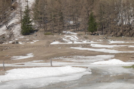 2018-04-27-tour-grand-paradis, alpes-aventure-ski-refuge-vittorio-sella-al-lauson-2018-04-27-02