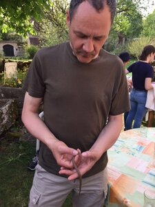 Saint Simon avril 2018, IMG_1419