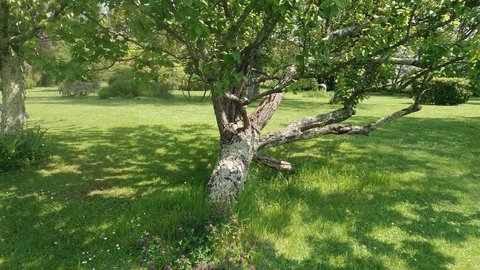 Sauveterre de Guyenne 05/05/2018, P_20180505_132026
