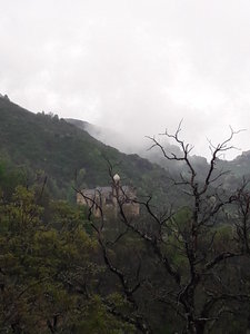 corse mai 2018, 20180505_114248