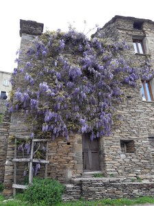 corse mai 2018, 20180507_100554