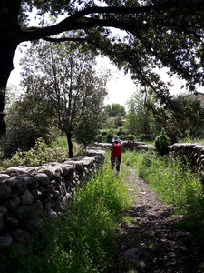 corse mai 2018, 20180511_105402