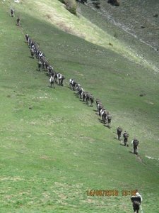 Traversée du 15/05/2018, IMG_1694