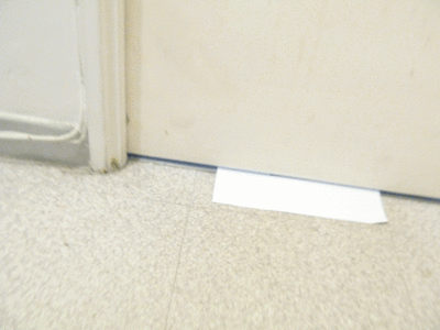 GIF, IMG_1374