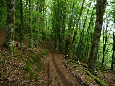 Maxi-verte_2018, Maxu-verte_2018  9 