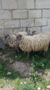 Str Aignan 19/05/18, P_20180519_143806