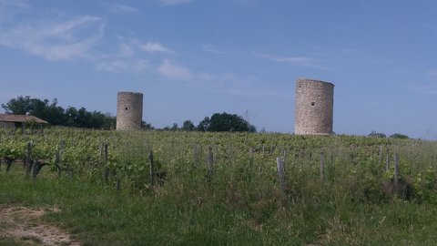 Str Aignan 19/05/18, P_20180519_153122