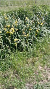 Str Aignan 19/05/18, P_20180519_163518