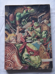 Lot de comics TORTUES  NINJAS, DSC00835